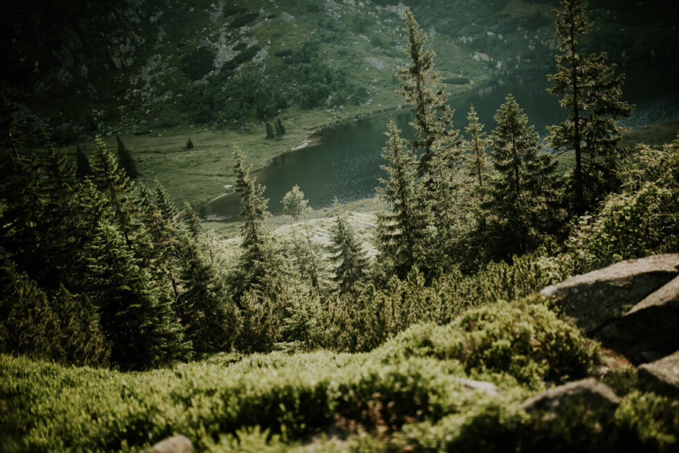 sesja poslubna w gorach