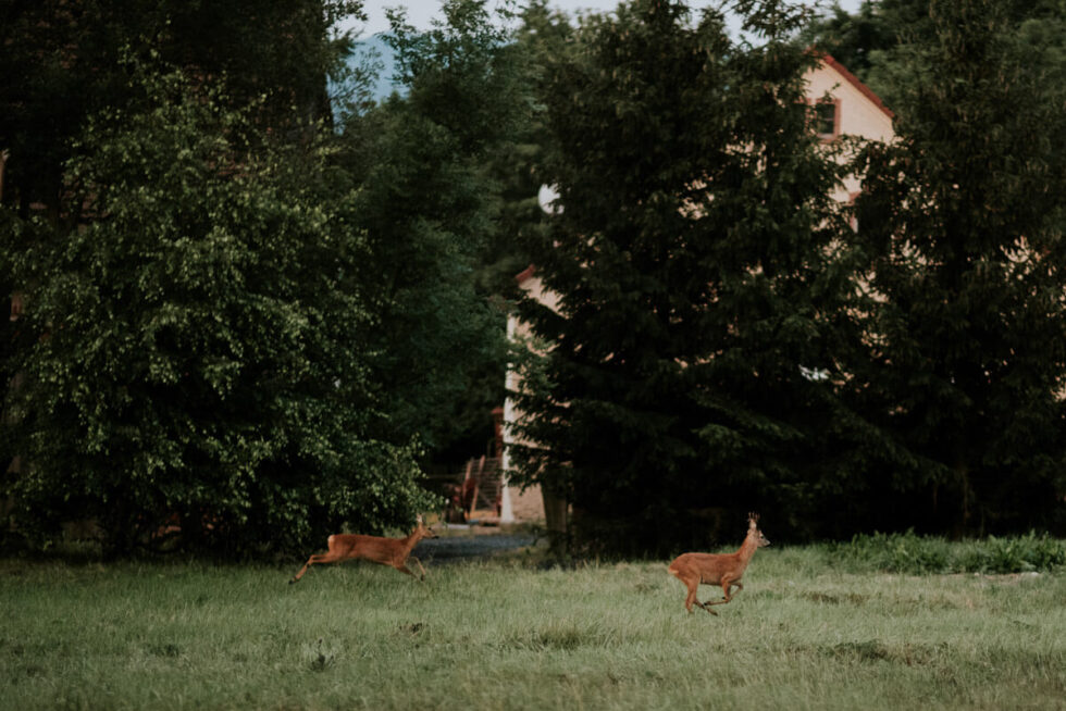 nietypowa sesja poslubna