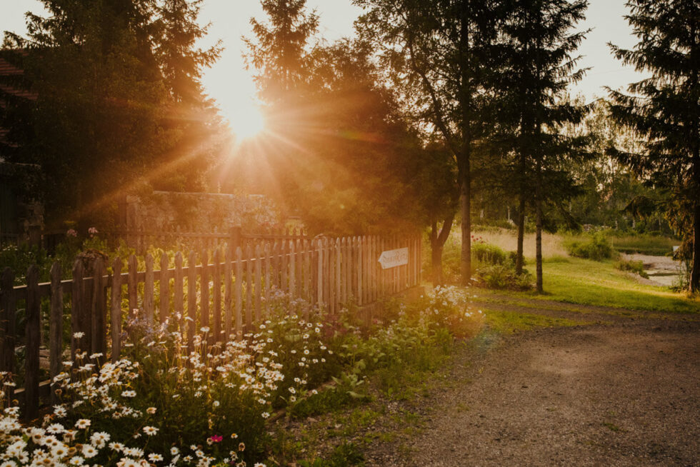 nietypowa sesja poslubna