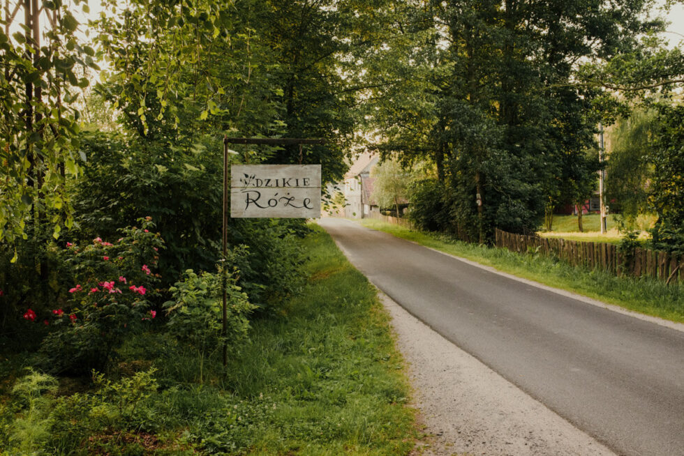 nietypowa sesja poslubna