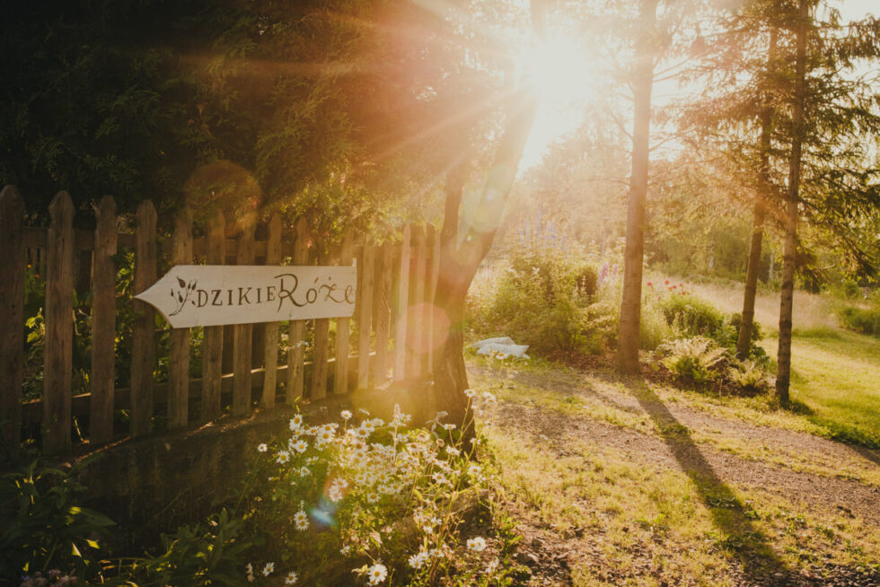 nietypowa sesja poslubna