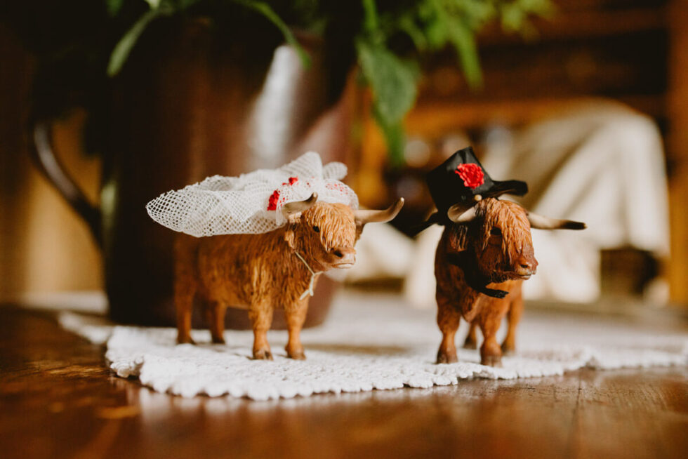 nietypowa sesja poslubna