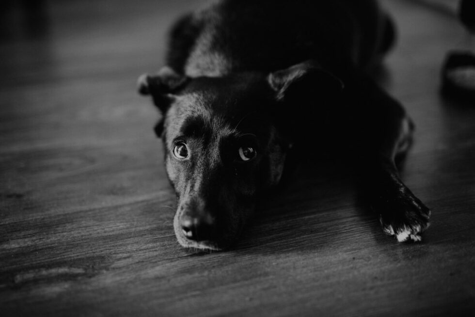 nietypowe okazje fotograf