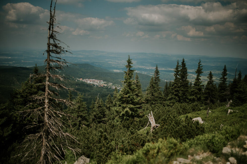 sesja poslubna w gorach