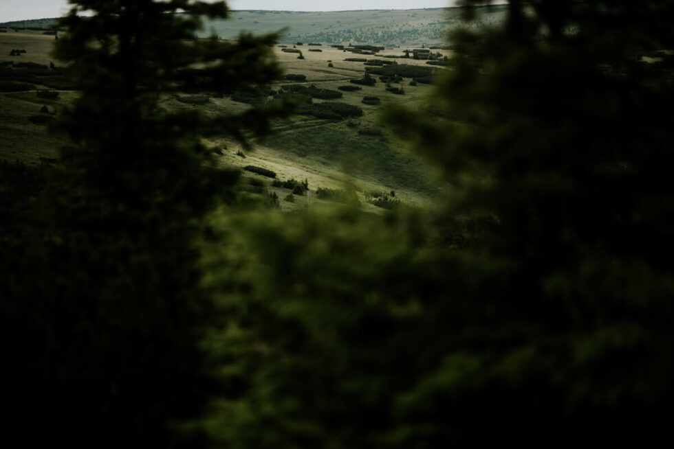 sesja poslubna w gorach